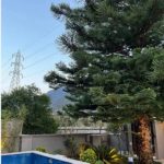 ویلا استخردار فورش فوری در چلک نوشهر