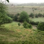 زمین 3800 متری کنار رودخانه در روستای زانوس