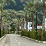 فروش دو قطعه زمین 420 و 455 متری در شهرک برند چلک نوشهر