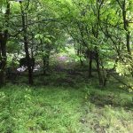 زمین 3800 متری کنار رودخانه در روستای زانوس