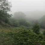 زمین 3800 متری کنار رودخانه در روستای زانوس